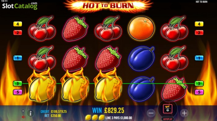 Cara Mudah Memenangkan Slot Hot to Burn